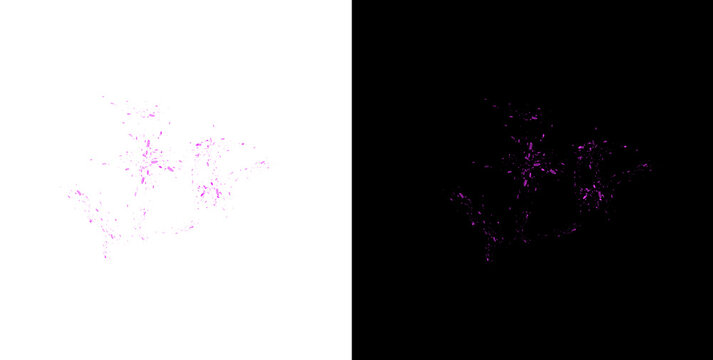 Purple liquid splashes and paint droplets element isolated on transparent background for creative graphic design work.