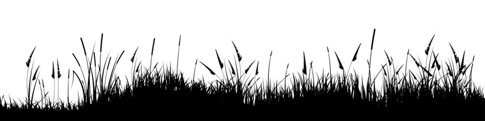 Obraz premium Meadow silhouette with grass, plants on plain. Panoramic summer lawn landscape with herbs, various weeds. Herbal border, frame element. Black horizontal banners. Vector illustration