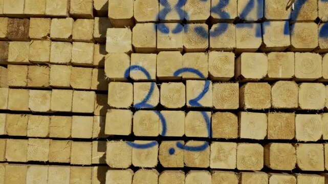 Side walking shot, repetitive timber ends marked with blue inventory codes