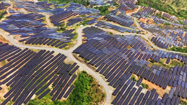Huge solar arrays cover hills beside forest, revealing a land use conflict