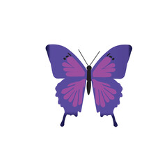 Beautiful Colorful Butterfly Vector Illustration © MstRahima