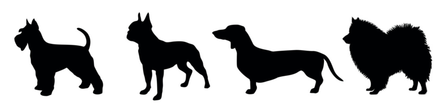 Silhouettes of four dogs vector set