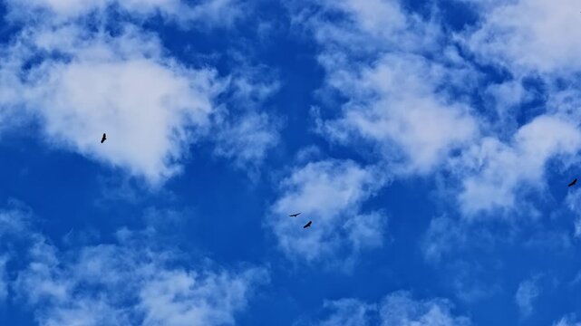 Birds soar beneath scattered white clouds in blue sky above Col d'Aubisque in France, static backdrop