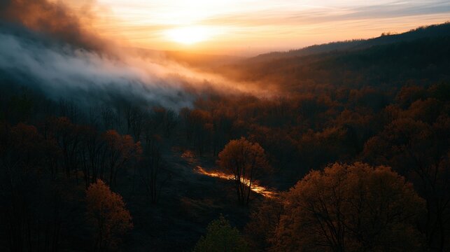 Aerial view of a forest fire spreading through dry trees, with thick smoke rising into the golden evening light.
