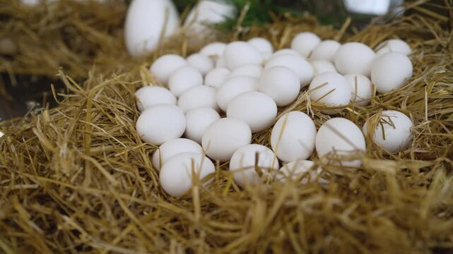 Overhead view of fresh white eggs scattered across golden straw bedding. Soft natural lighting highlights texture purity. 