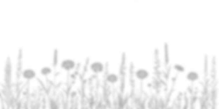 meadow shadow overlay wildflowers grass field border sunlight botanical floral natural aesthetic mockup effect isolated transparent texture background