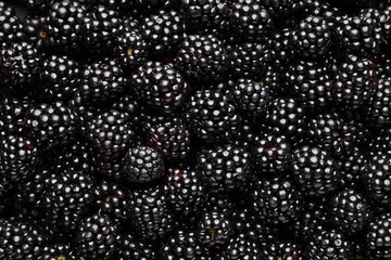 Heap of ripe tasty blackberries as background, closeup © New Africa