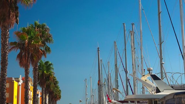 Palm tree crowns and yacht masts against a blue sky on the harbor waterfront. Gruissan, France