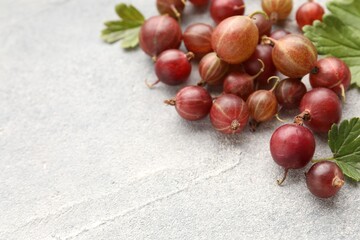 Fresh red gooseberries and green leaves on grey table, closeup. Space for text © New Africa
