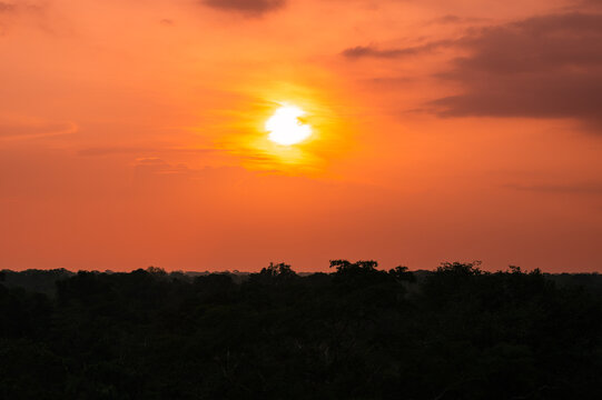 Sunrise Silhouette over the Amazon Rainforest in Ecuador with Vibrant Orange Sky