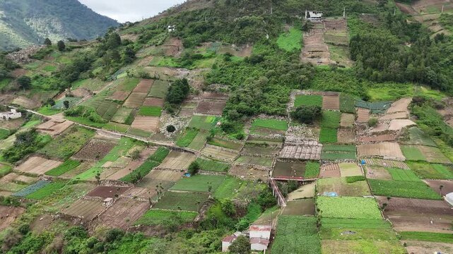 Drone flies over small cultivated fields covering steep mountain slopes in Zunil, Quetzaltenango, Guatemala. Scenic highland agriculture and patchwork farmland.