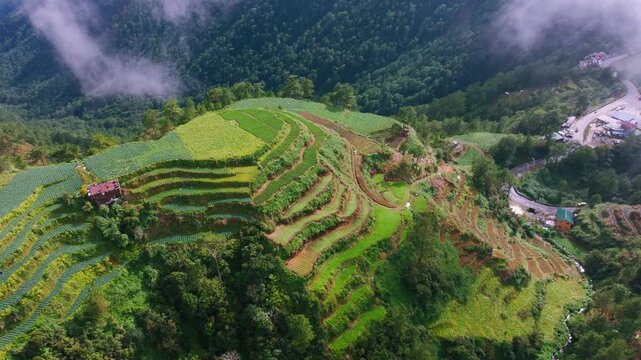Drone turns left through clouds then drops over Halsema Highroad Point, Benguet