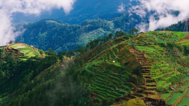 Drone turns right, green terraces, drifting clouds, Atok, Benguet, Philippines