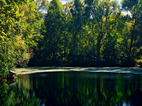 Early autumn lake landscape illustration backdrop