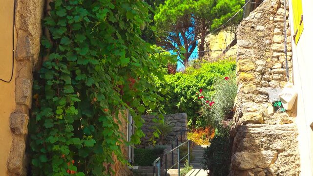 narrow path in a village Gruissan, France