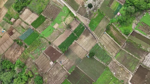 Drone descends toward small cultivated fields and farm plots on mountain slopes in Zunil, Quetzaltenango, Guatemala. Top down view of highland agriculture.
