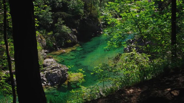 Emerald-green waters of Pozze Smeraldine along the Meduna stream in the Dolomites, Friuli, Italy