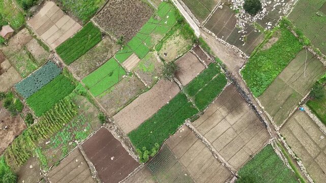 Drone flies forward above small cultivated farm plots forming a colorful patchwork landscape in Zunil, Quetzaltenango, Guatemala.