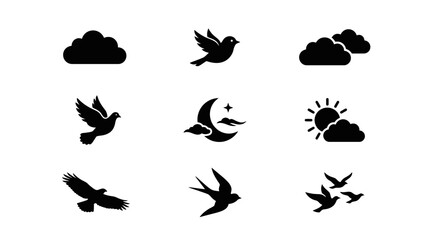 Fototapeta premium Birds flying in various directions freely.