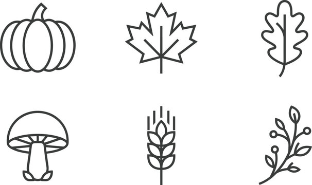 Minimalist line art autumn icon set featuring pumpkin maple oak leaf mushroom wheat and berry branch isolated on white background vector