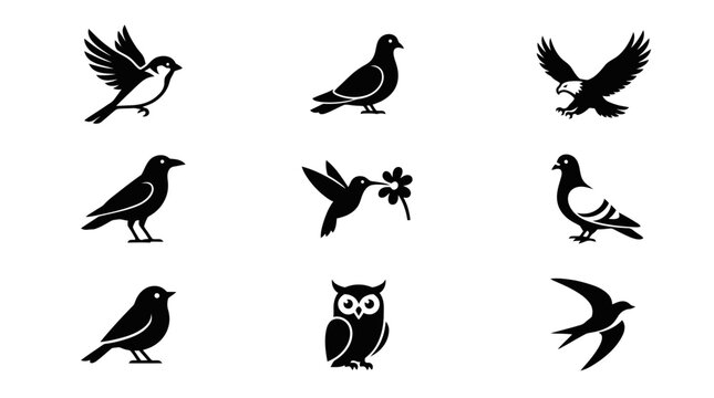 Birds Silhouettes Flying Various Species.