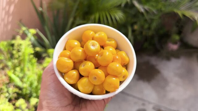 hand holding white bowl filled with juicy and clean nance tropical fruits