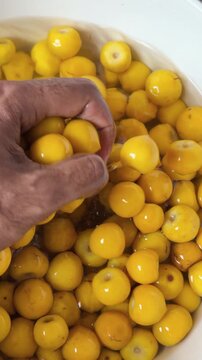 hand washing fresh, ripe, yellow nance fruits in white bowl filled with water