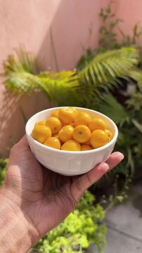 Hand holds white bowl filled with ripe yellow nance fruits outdoors among green plants, vertical