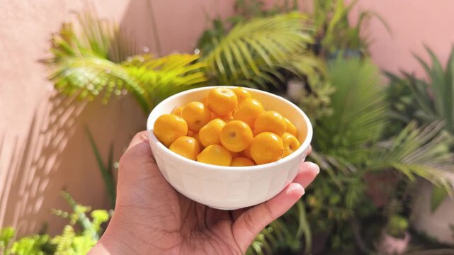 Hand holding a bowl of yellow fruits outdoors with green plants in background