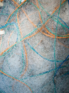traditional fishing gear for catching fish, in the form of a round net and used by spreading or throwing it into the water