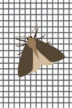 Hand-traced vector illustration of a brown moth resting peacefully on a window screen mesh, detailed insect artwork with delicate antennae and textured wings