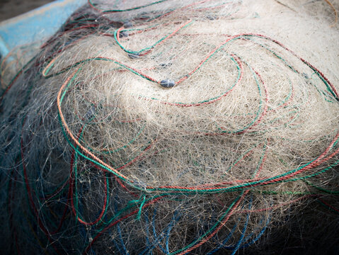 traditional fishing gear for catching fish, in the form of a round net and used by spreading or throwing it into the water