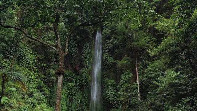 Tall waterfall cascading down a steep, rocky cliff face surrounded by dense green forest foliage and trees. Scenic vertical drop water feature surrounded by rich tropical or temperate jungle vegetatio