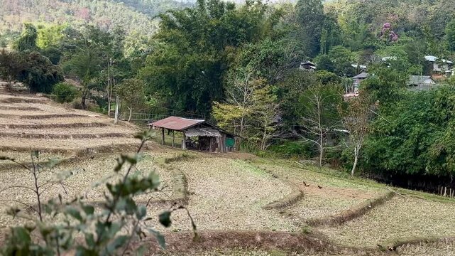 Dry agricultural fields stretching across a rural valley with small farm structures and forested mountains rising in the background. Trees and vegetation border the patchwork fields in Pai Thailand