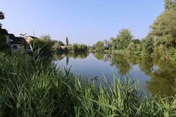 Lac du parc Jean Sainteny, parc public, ville de l'Isle Adam, département du Val d'Oise, France