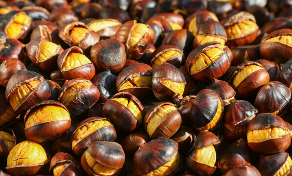 Close up of delicious roasted chestnuts street food snack