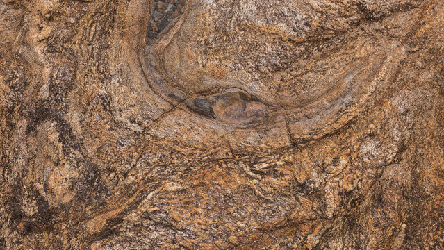 Folded Gneiss Rock Surface with Swirling Mineral Banding and Embedded Dark Inclusions &mdash; Concept: Geological Texture, Natural Background and Earth Science Design