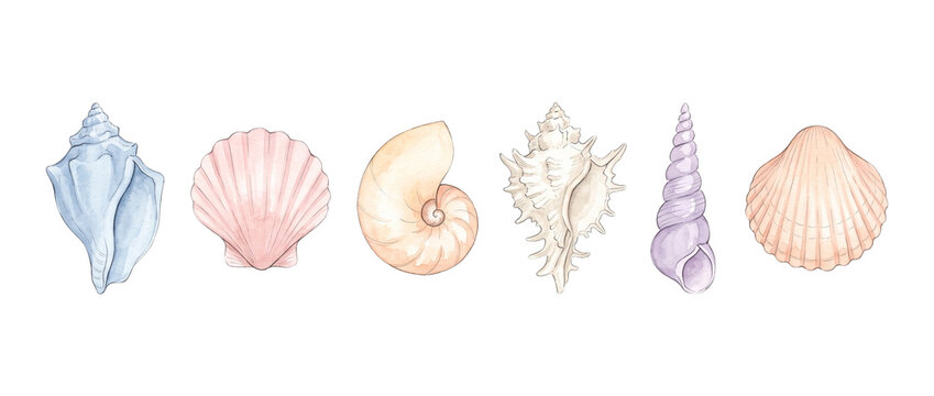 Watercolor seashells set beach illustration featuring hand painted pastel sea shells clipart in a row on white background for coastal nautical design, summer marine elements, and elegant ocean decor.