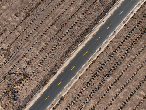Aerial view of rural road cutting through orderly farmland fields