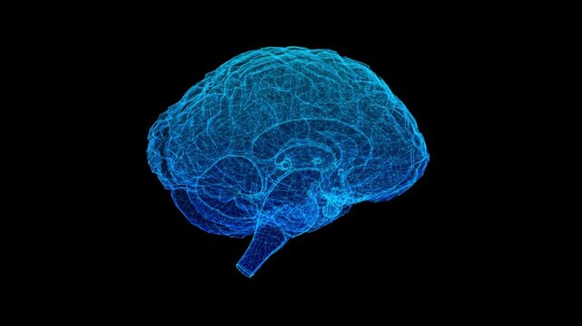 Blue Digital Brain Scan Rotation Animation,Human Anatomy Wireframe 3D Roatation for Medical and Neuroscience Stream Videos Social media Motion Background