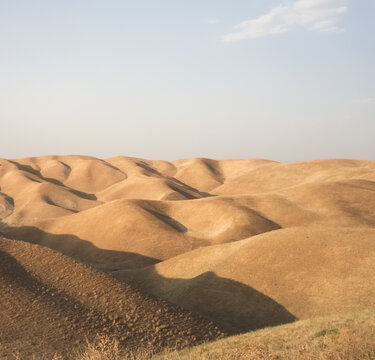 Hills are covered with old yellow grass at sunset. The rugged landscape of the rolling hills creates a shadow on the relief. Landscape of grassy hills at sunset