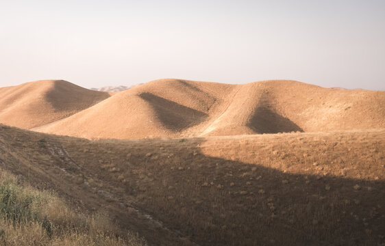 Hills are covered with old yellow grass at sunset. The rugged landscape of the rolling hills creates a shadow on the relief. Landscape of grassy hills at sunset