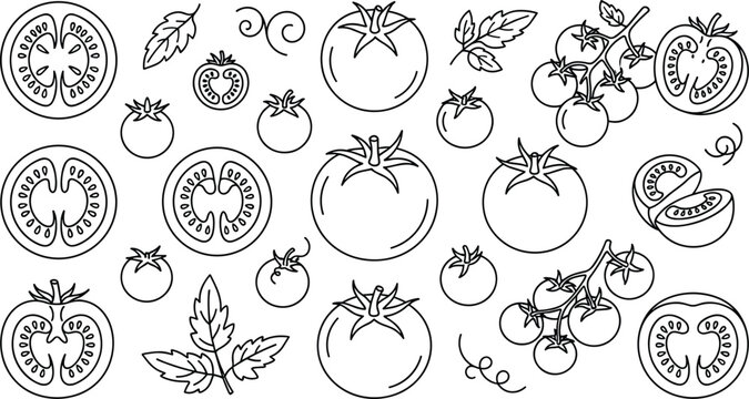 Minimal line art tomato vector icon set featuring whole cherry tomatoes sliced pieces and leaves for coloring book website