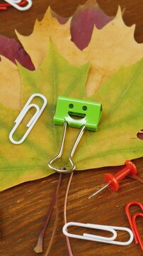 Autumn leaves form backdrop for green binder clips. Bright stationery items like pencils and paper clip. Stationery on brown wood table background. Back to school concept