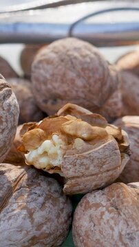 Closeup of dry walnut shells split open. Concept of homemade nutrition. Family farming. Simple food routine. Freshness and texture contrast. Quiet countryside morning