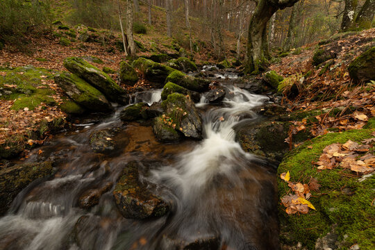 Long exposure of a forest creek forming a gentle whirlpool among moss-covered stones and fallen autumn leaves.