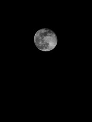 full moon on black background © Michael