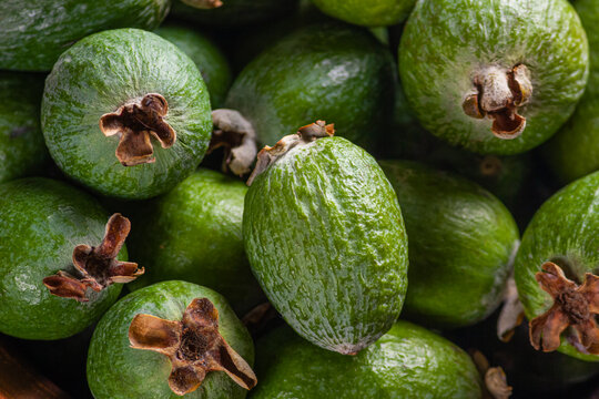 Macro photograph of fresh green feijoa pineapple guava fruits piled in close composition with detailed bumpy texture and blossom ends.