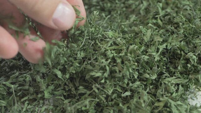 Hand moves through dried parsley laid out like brick fragments sorted for facade reconstruction symbolizing commitment to breathe life into an old estate and transform it