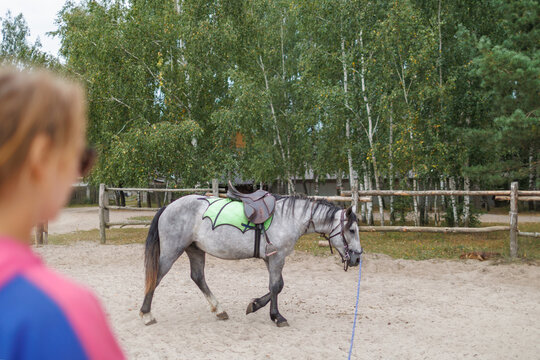 Grey saddled horse walks in sand arena near wooden fence while person in foreground watches training session